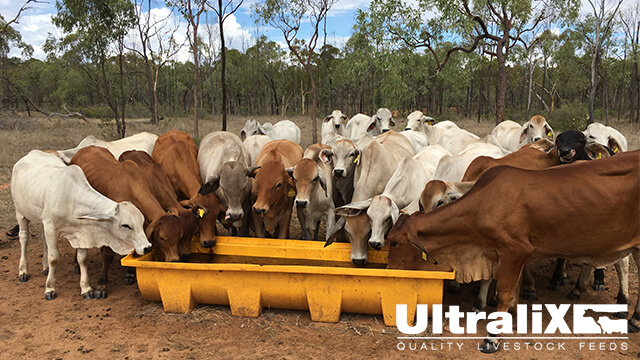 Ultralix UltraMeal Supplement